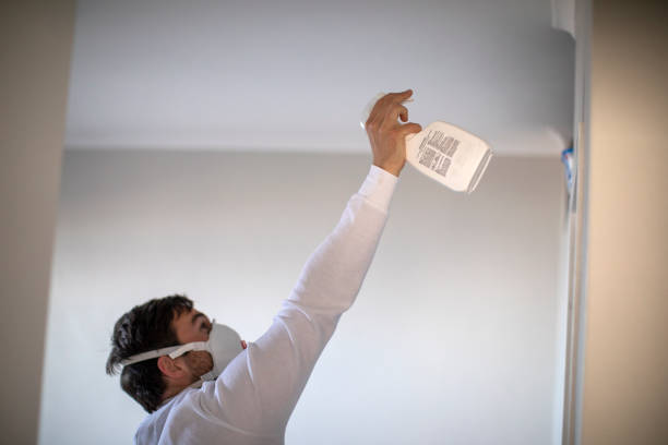 Trusted Ore City, TX Mold Removal Experts