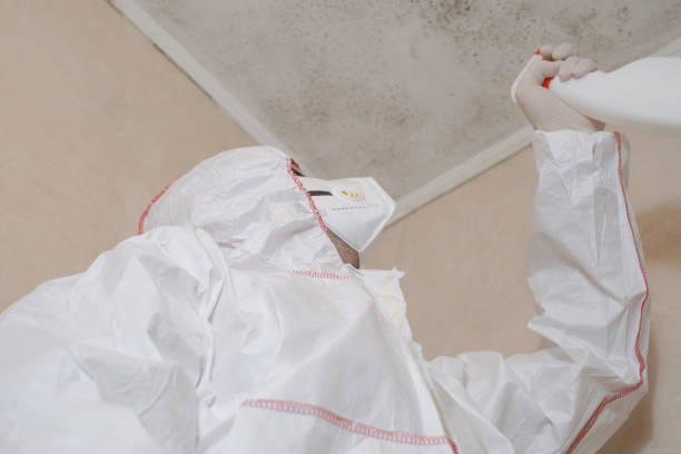 Best Certified Mold Removal  in Ore City, TX