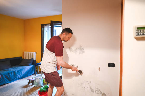 Best Same-Day Mold Removal  in Ore City, TX